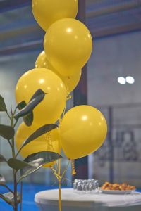 20260801 dp birthday kva3199