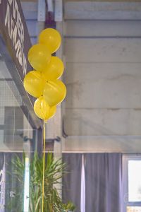 20260801 dp birthday kva3219