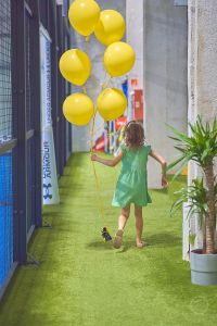 20260801 dp birthday kva5233